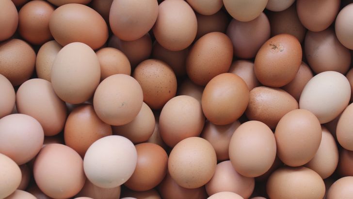 قیمت تخم مرغ ۲۰ درصد از نرخ مصوب ارزانتر شد