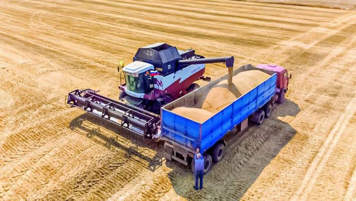 روسیه صادرات ذرت را سخت کرد؛ گندم را آسان