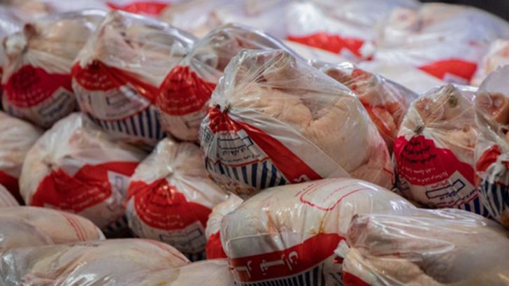 توزیع گوشت مرغ منجمد برای تنظیم بازار