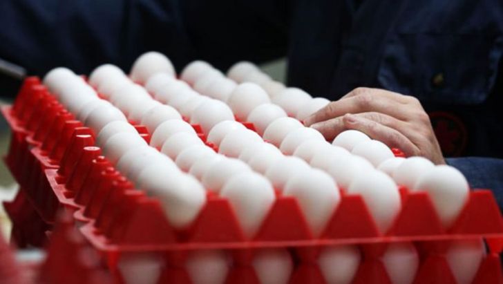 ترکیه با پرداخت یارانه به صادر کنندگان تخم مرغ بازار منطقه را گرفته است