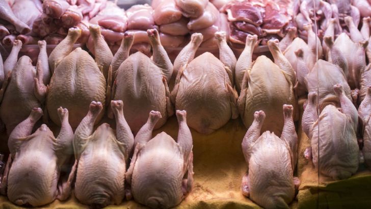 کاهش ۴۵ درصدی تولید گوشت مرغ کشور صحت ندارد