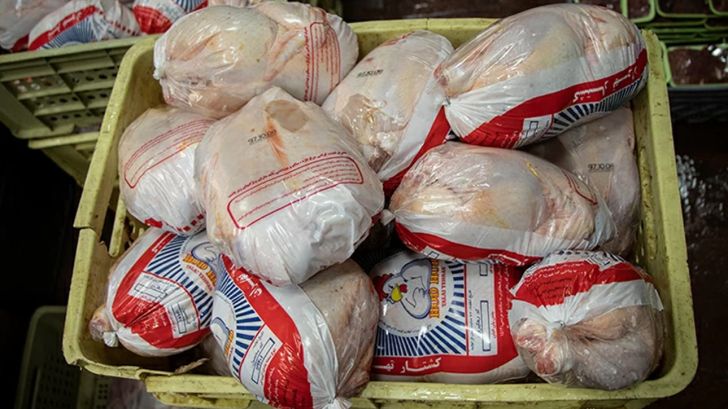 ارسال مرغ به دیگر استان ها با هدف تنظیم بازار