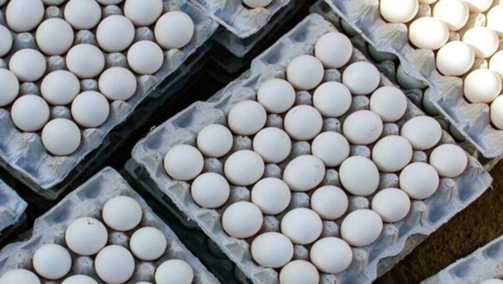 واردات تخم مرغ لغو شد
