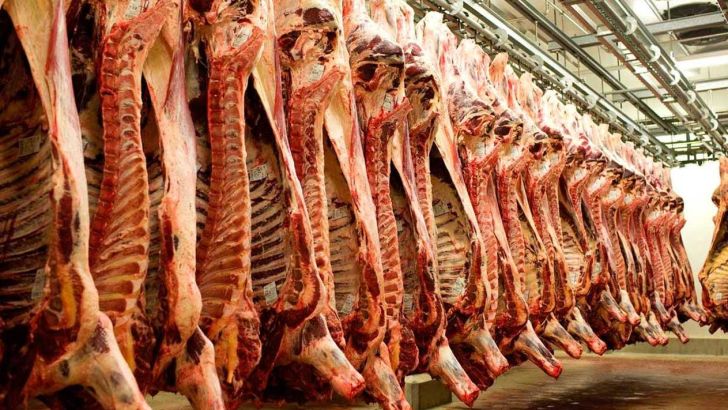 قیمت گوشت قرمز در بازار همدان به ثبات رسید