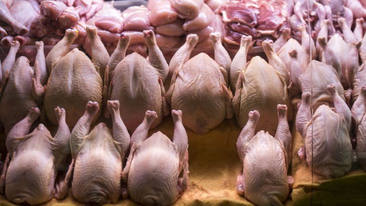 تداوم عرضه گوشت مرغ با قیمت مصوب در بازار