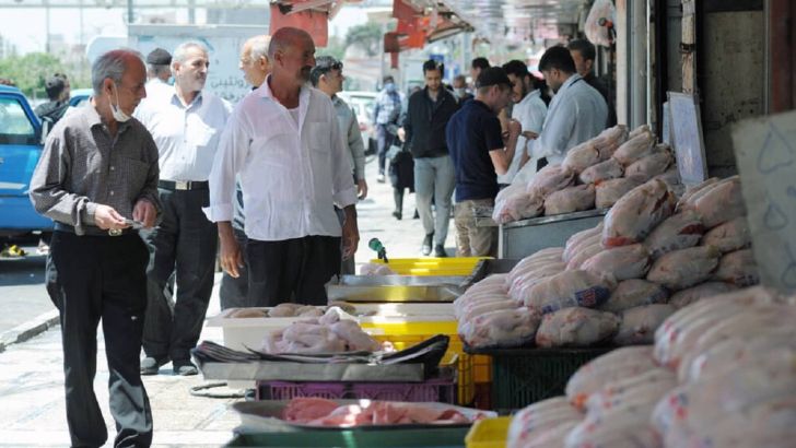 سردی بازار مرغ گرم گیلان در سایه توزیع مرغ منجمد