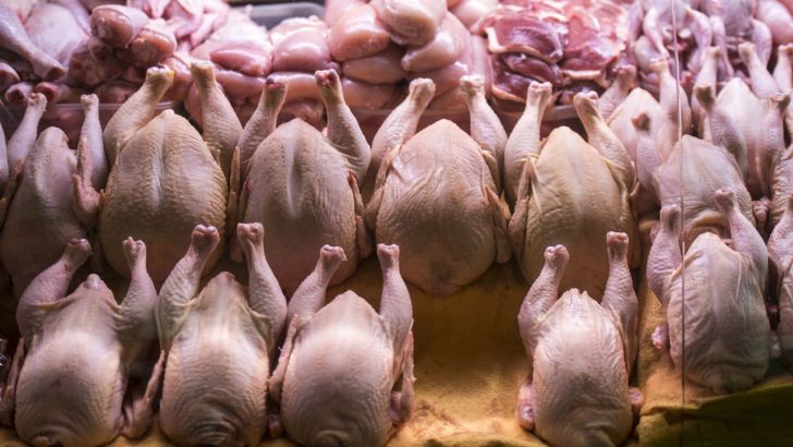 عرضه قیمت گوشت مرغ همچنان کمتر از نرخ مصوب است