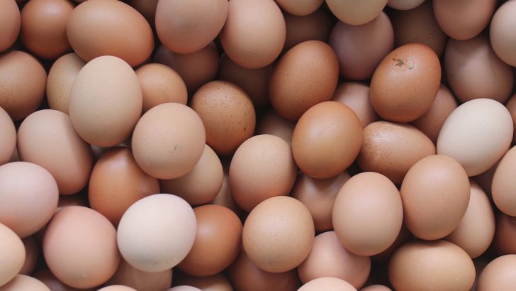 پایان سال با ۵۰ هزار تن تخم مرغ مازاد مواجه می شویم