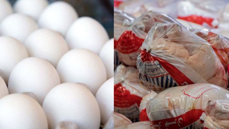 صادرات مرغ، تخم مرغ و دام سبک از استان ایلام هیچ‌ مانعی ندارد