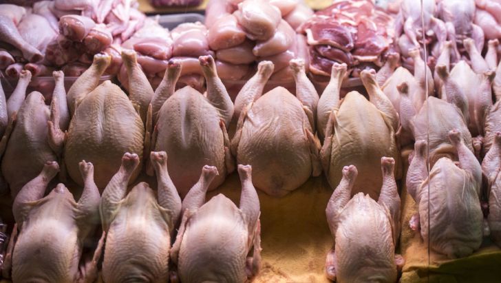برقراری آرامش در بازار مرغ پس از گذشت ۷ ماه از حذف ارز ترجیحی