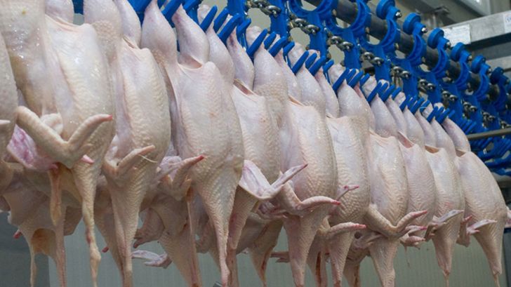 افزایش ۱۴ درصدی عرضه گوشت مرغ و طیور در آبان