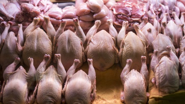  قیمت مرغ با نرخ مصوب چقدر فاصله دارد؟