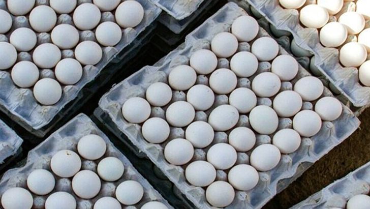 ایران یکی از 10 تولیدکننده برتر تخم مرغ در جهان