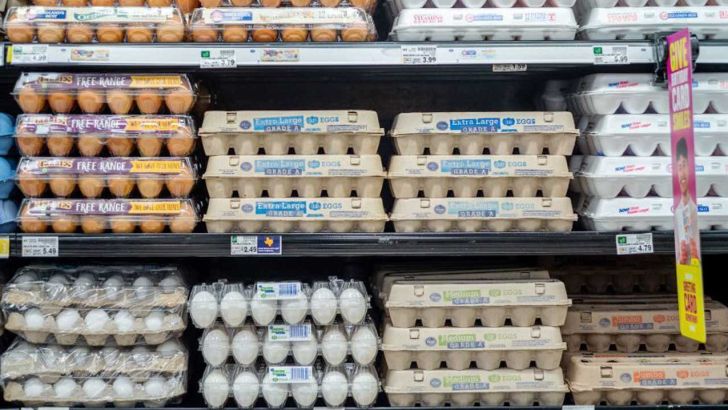  تخم مرغ؛ گران ترین ماده غذایی در آمریکا در سال ۲۰۲۲