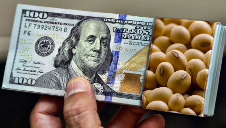 با گرانی دلار واردکنندگان نهاده‌های خوراک دام سفارش‌ها را باطل کردند