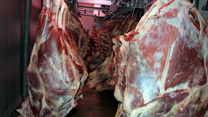 معاون وزیر: قیمت گوشت حدود ۱۰۰ تا ۱۵۰ هزارتومان کاهش می یابد