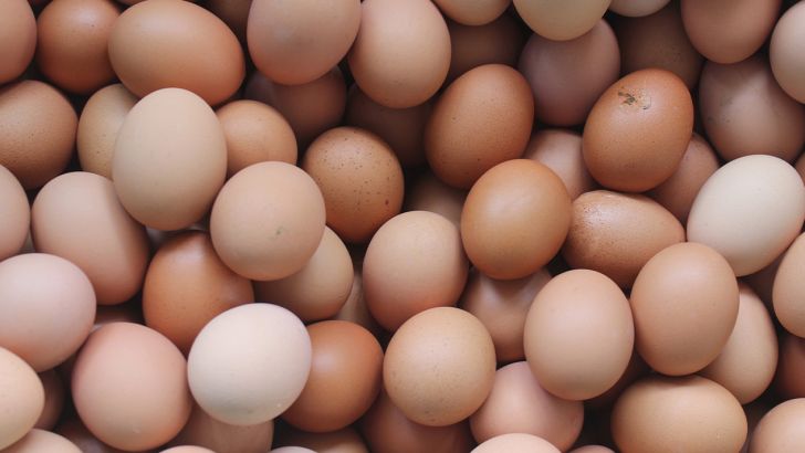 ظرفیت تولید تخم مرغ در سیستان وبلوچستان به ۹ هزارتن رسید