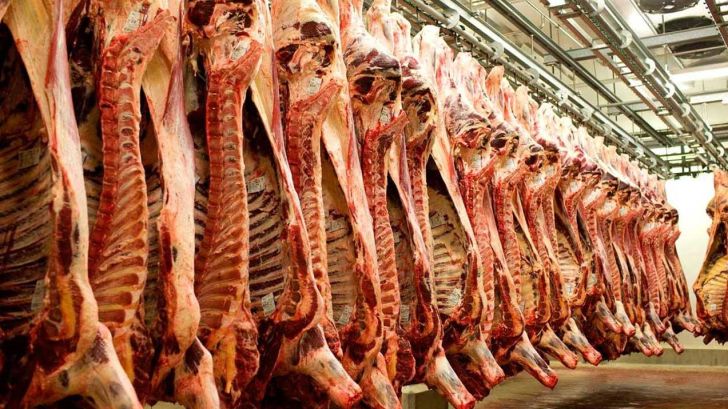 تولید سالانه گوشت قرمز بالای ۹۰۰ هزارتن است 