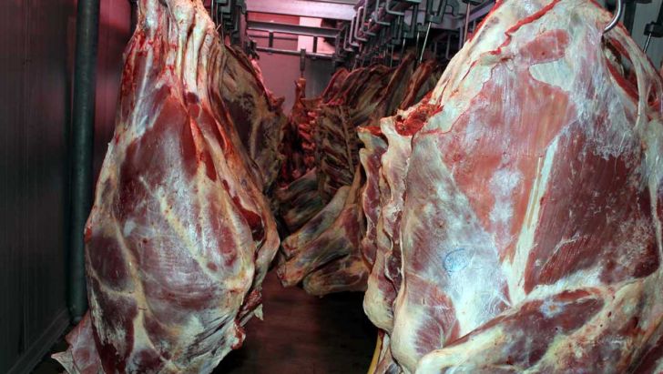  حمایت از دامداران با تولید قراردادی گوشت و فروش مدت‌دار نهاده‌های دامی