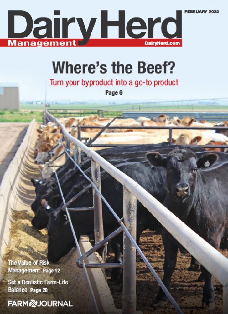 دانلود رایگان مجله  Dairy Herd.February2022