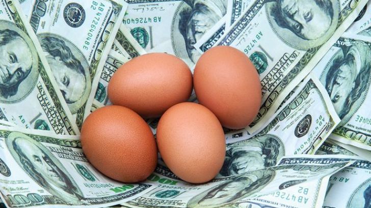 اتحادیۀ خوراک امریکا؛ تئوری توطئۀ اشتباه خوراک که منجر به افزایش قیمت تخم مرغ شد
