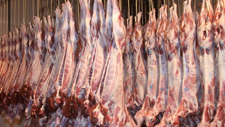 خبری مهم درباره کاهش قیمت گوشت