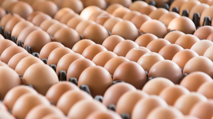 بازار کشور به یک و یک دهم  میلیون تن تخم مرغ نیاز دارد