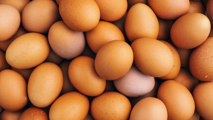 تداوم عرضه تخم‌مرغ کمتر از قیمت مصوب