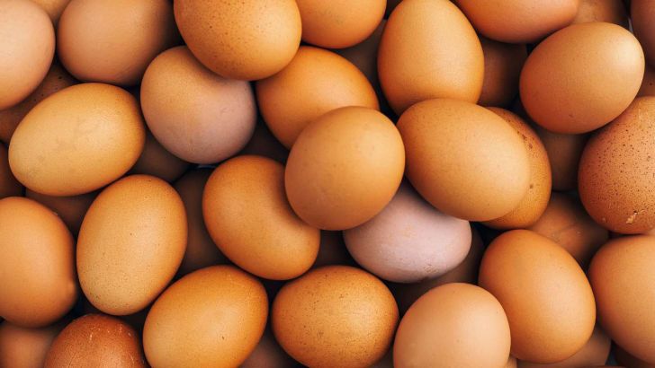 کاهش ۳۰ درصدی قیمت تخم‌مرغ در مرغداری‌ها