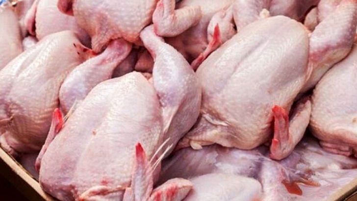 ماهانه ۲۵۰ هزار تن گوشت مرغ در کشور تولید خواهد شد
