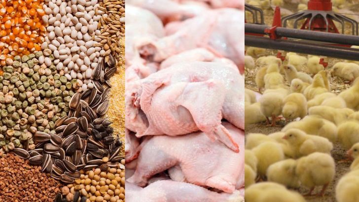 گزارش کمیسیون کشاورزی در مورد «انحصار در واردات نهاده‌های دامی»