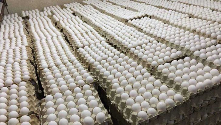 هرکیلو تخم مرغ کماکان ۱۵ درصد کمتر از نرخ مصوب عرضه می شود