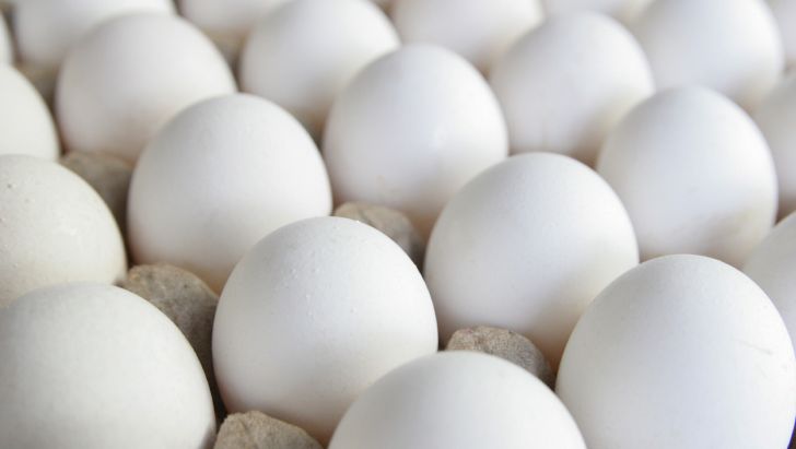  تولید روزانه تخم مرغ به ۳ هزار و ۵۰۰ تن رسید