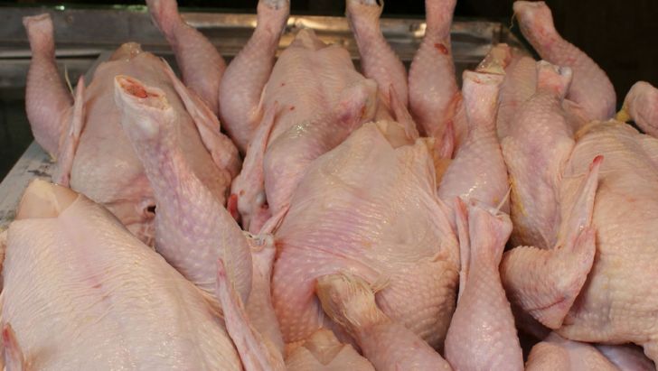 قیمت گوشت مرغ در بازار به نرخ مصوب رسید
