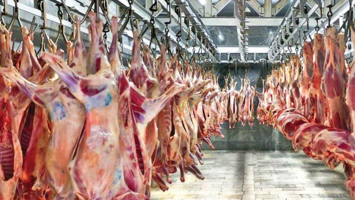 علت توقف واردات گوشت قرمز اعلام شد