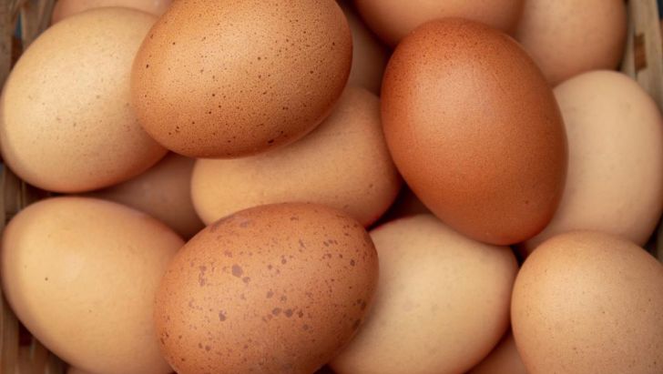 رشد ۳۲ درصدی تولید تخم مرغ در استان قزوین