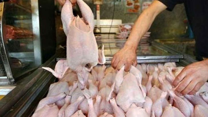 افزایش ۸ درصدی عرضه مرغ در شهریور نسبت به مرداد