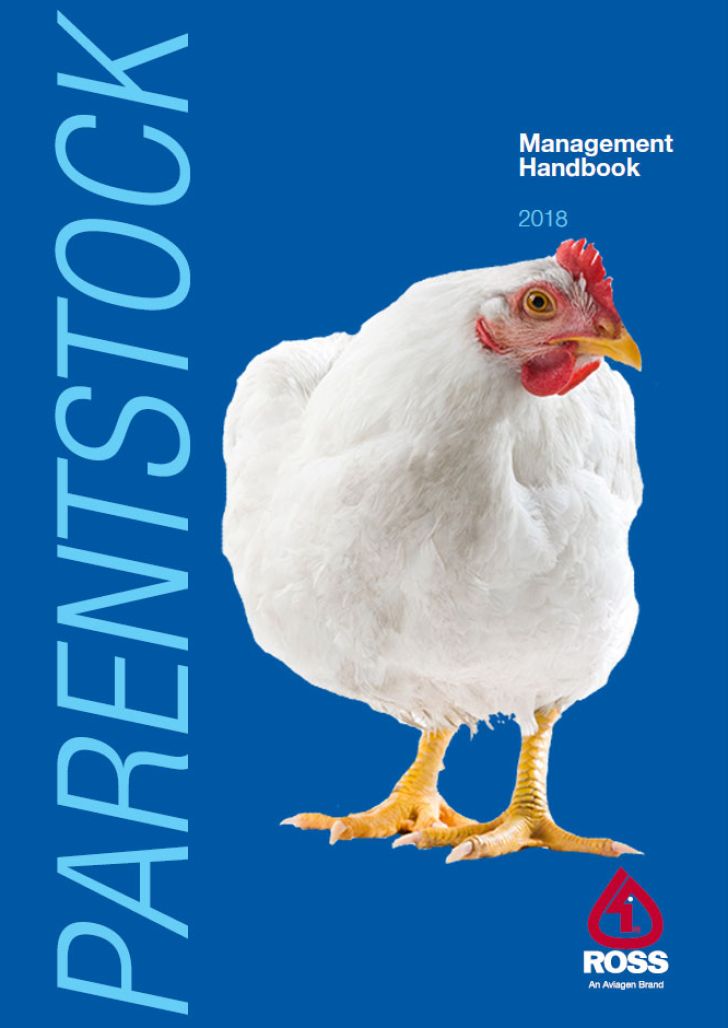 راهنمای پرورش مرغ مادر گوشتی راس 308
