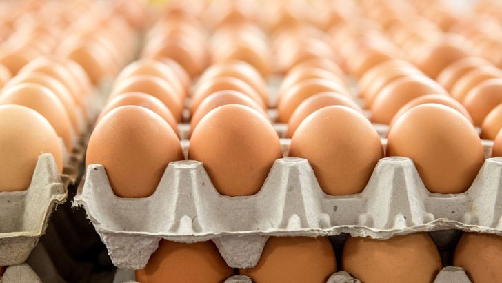 صادرات تخم‌مرغ به ۱۱۰ هزار تن رسید