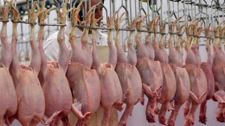 کرمانشاه می‌تواند بازار مرغ اقلیم کردستان عراق را در دست بگیرد