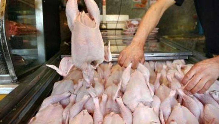 نگرانی‌ها بابت عرضه مرغ در مازندران برطرف شد