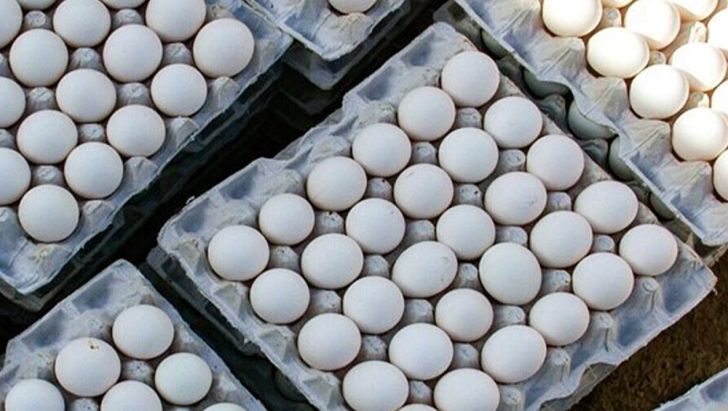 تولید 11 هزار تن تخم‌مرغ در استان لرستان