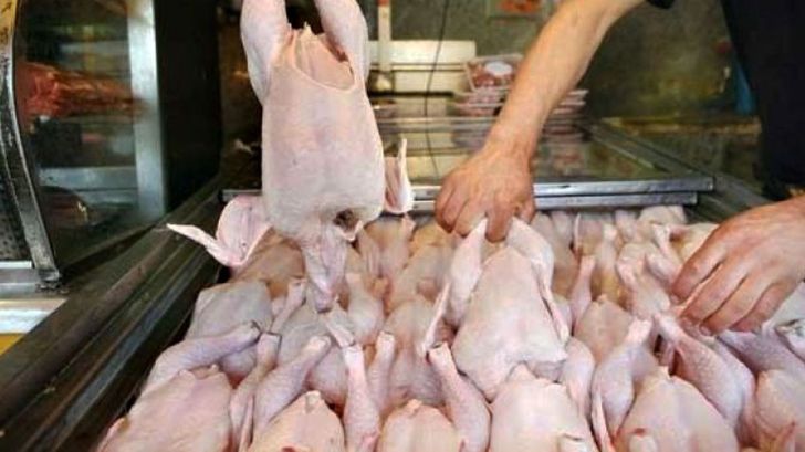 تولید 40 هزار تن مرغ مازاد‌ با افزایش 20 میلیون قطعه جوجه ریزی در مرغداری‌ها