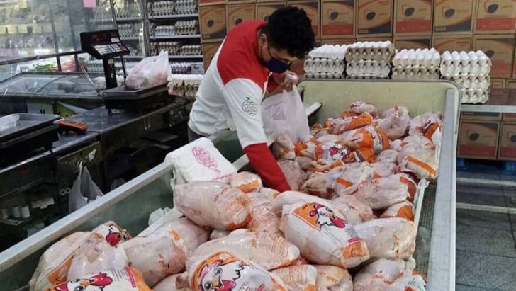  توزیع روزانه مرغ تهران به ۱۵۰۰ تن رسید