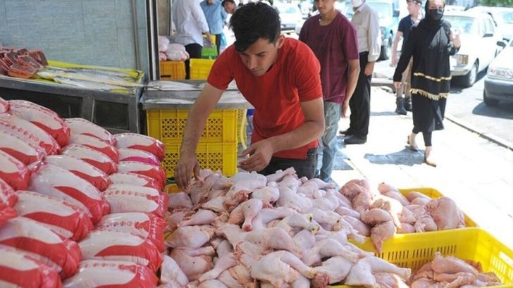 نگرانی در تأمین بازار گوشت مرغ برای عید نوروز و ماه رمضان وجود ندارد