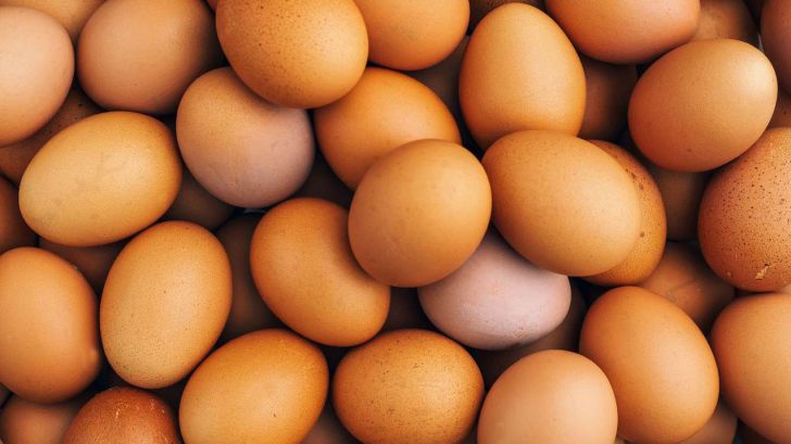 ارزآوری صادرات تخم‌مرغ به ۱۳۰ میلیون دلار رسید