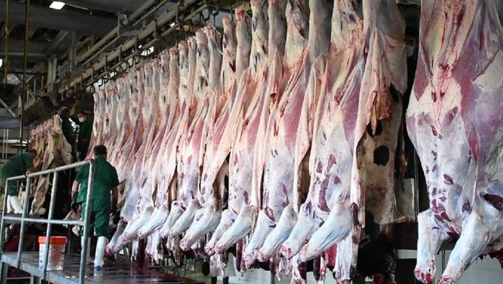 اجرای طرح تشدید نظارت بهداشتی بر کشتارگاه‌های دام و طیور قزوین