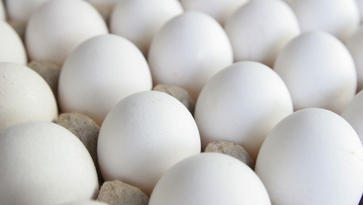 تخم مرغ ایران وارد روسیه می شود!