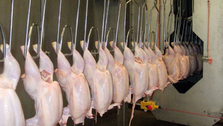  قیمت مرغ تا پایان ماه رمضان نوسانی ندارد