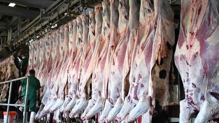 کشتارگاه‌های دام و طیور از روز دوم فروردین مشغول فعالیت هستند